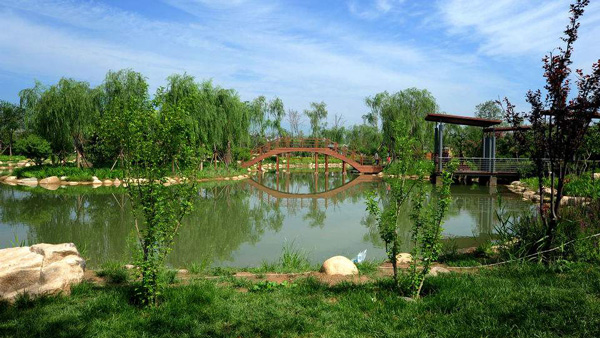 如果你生活在城市中，你会发现在一些新建的小区或道路两旁，几乎一年四季都在进行树木移植工作。但同时也容易出现移植之后死亡的现象。这是因为特殊的时间安排所决定的结果，在农业生产种植过程中，一般不会这么选择。那么到底什么时间非常适合苗木的移植呢?
