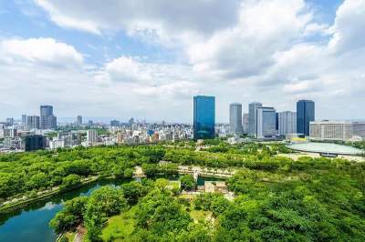 在北方栽植去哪里购冬青苗非常好，要求成活率要高，耐寒耐热，生长快?北方哪里的冬青树非常便宜?