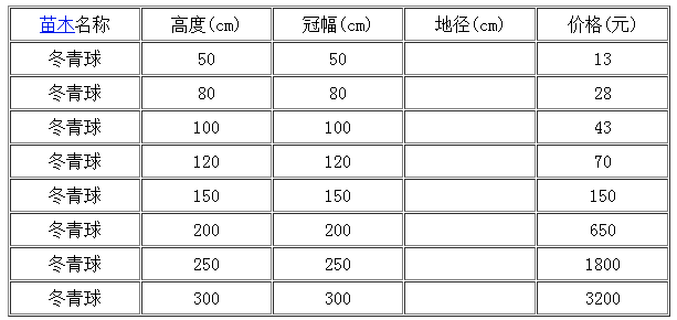 需要1000颗1米冬青球去哪里找?优质山东冬青柱哪里多?