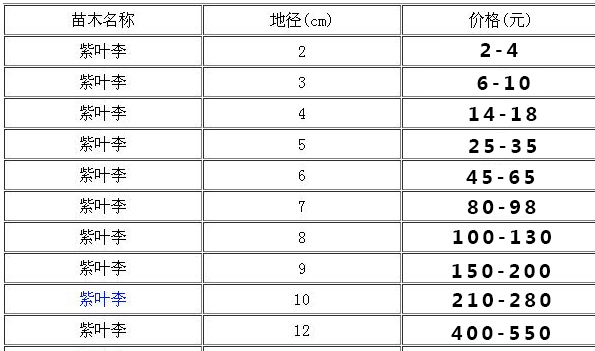 8-12公分的紫叶李价格表：