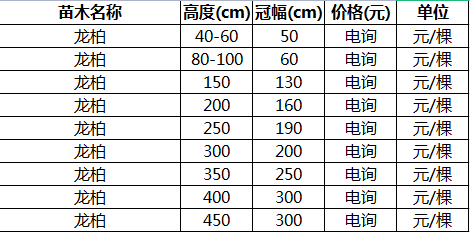 3米龙柏价格表