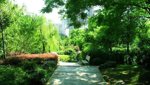 　2019北方绿化苗木博览会在昌邑市举办