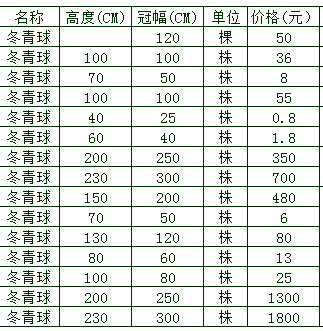 大型冬青球哪里有？冬青球价格是多少？哪里便宜？