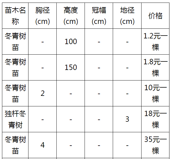 冬青树苗多少钱一颗?哪里有冬青苗价格表?
