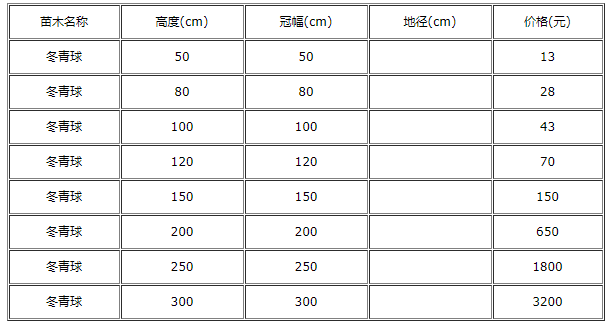 　山东哪里有卖冬青苗?烟台哪里有大批量冬青球?