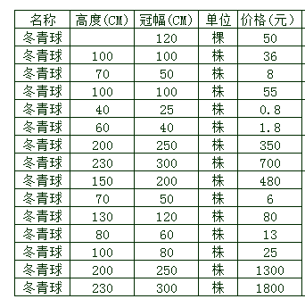 2020年冬青球的报价是什么?各种胸径的冬青球都是什么价格