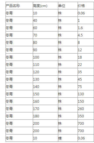 2020年冬青球的报价是什么?各种胸径的冬青球都是什么价格