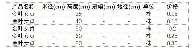 2020年金叶女贞价格表?50公分金叶女贞价格?全文