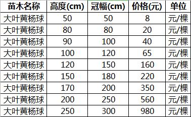 大叶黄杨价格表