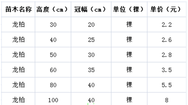 龙柏树基地：小龙柏苗价格表，40公分一米的都是多少钱?