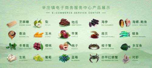 绿化苗木批发之园林绿化苗木价格表?