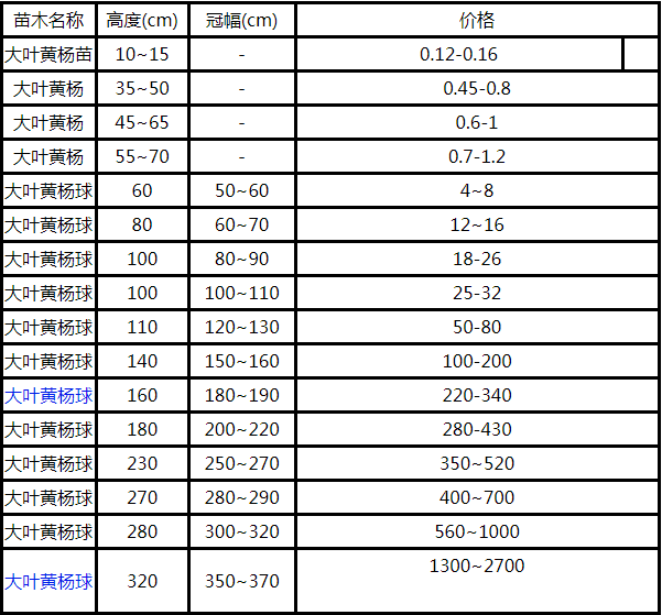 50-60公分的冬青苗价格是多少?哪里好?
