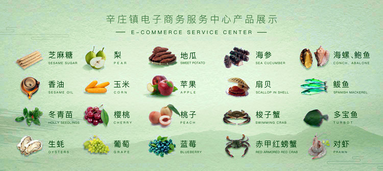 招远辛庄镇电子商务中心
