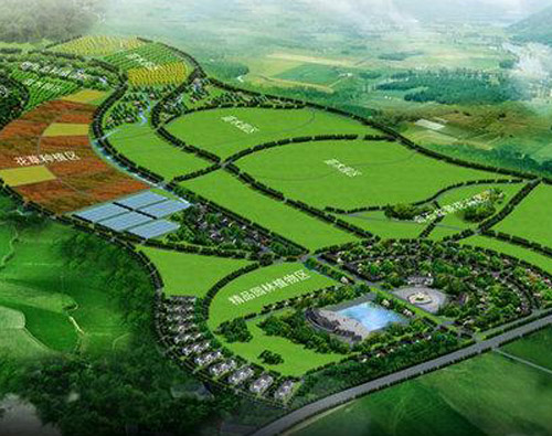北海道黄杨的生长习性有哪些?