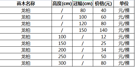 龙柏价格,山东大叶黄杨基地